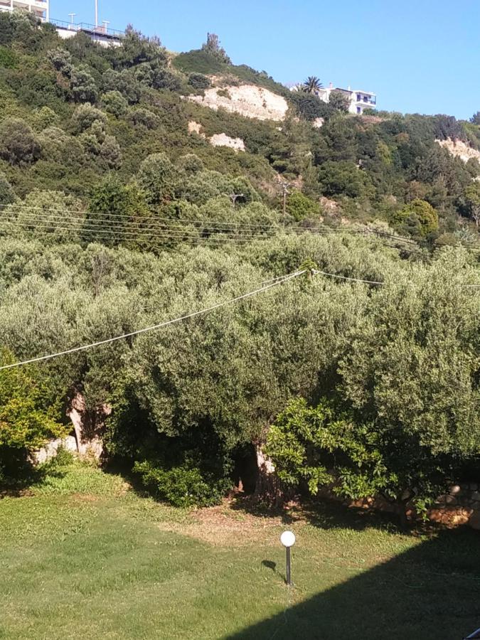 Studios Galanis Afytos Bagian luar foto