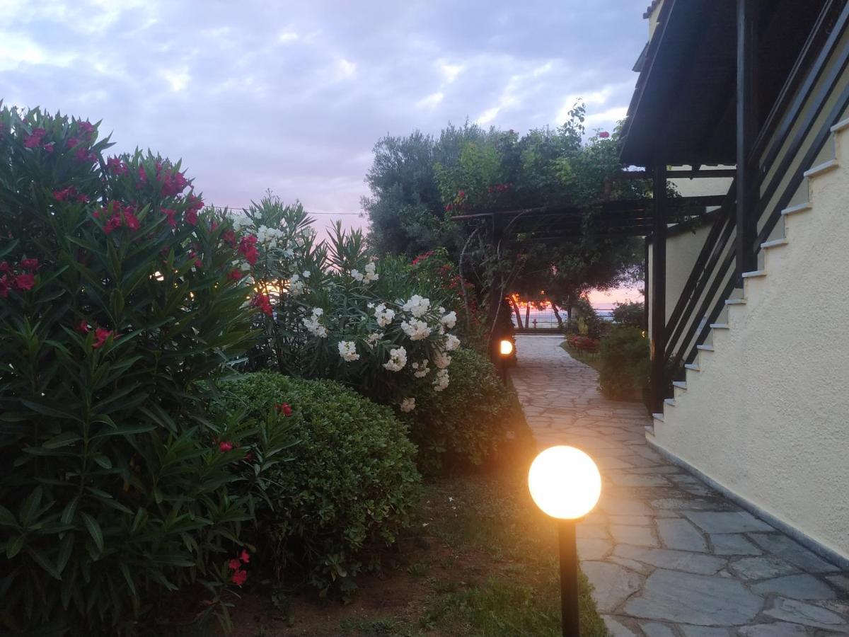 Studios Galanis Afytos Bagian luar foto
